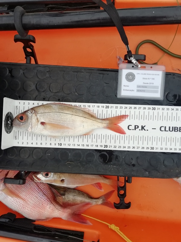 Fish Measure Picture
